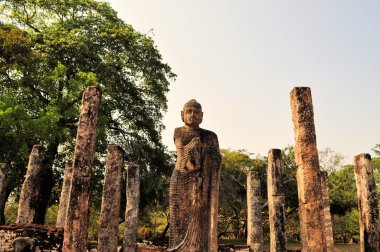 Buddha ve ayağı Polonnaruwa, Sri Lanka