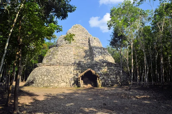 Pozůstatky Mayské pyramidy v džungli, Coba, Yucatan, Mexiko — Stock fotografie