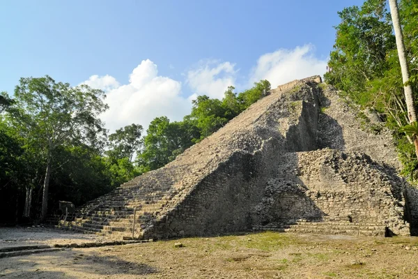 ジャングル、コバ、ユカタン、メキシコのマヤのピラミッドの遺跡 — ストック写真