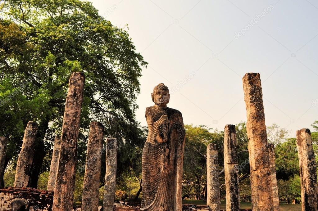 Buddha and Pillars in Polonnaruwa, Sri Lanka