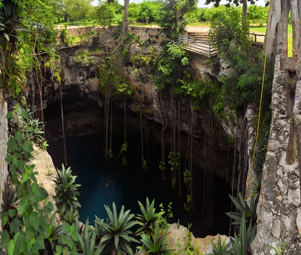 Cenote Oxman San Lorenzo w pobliżu Valladolid, Meksyk — Zdjęcie stockowe