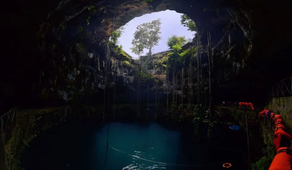 Cenote Oxman San Lorenzo w pobliżu Valladolid, Meksyk — Zdjęcie stockowe