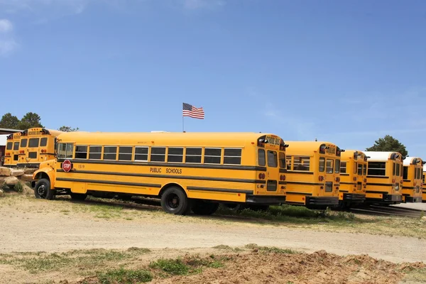 Ряд американских школьных автобусов, США — стоковое фото