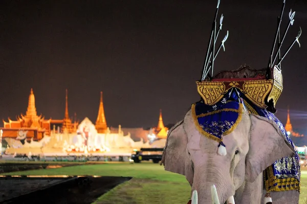 Beyaz fil, Grand Palace, Bangkok, Tayland — Stok fotoğraf