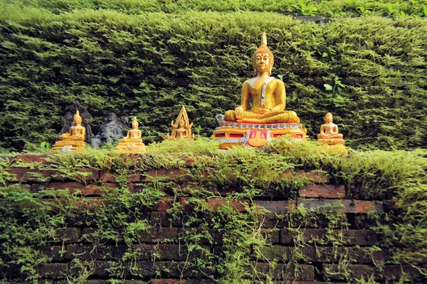 Χρυσά αγάλματα του Βούδα με έναν τοίχο που καλύπτονται από moss — Φωτογραφία Αρχείου