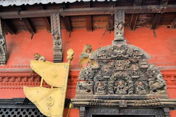 Temple door with monkeys, Kathmandu, Nepal — Stock Photo, Image