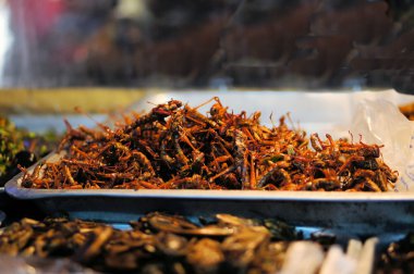Fried çekirge bir Tay Pazar