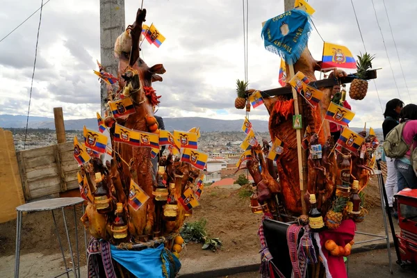 Schweine geschmückt mit Früchten, Spirituosen, Fahnen und Meerschweinchen beim traditionellen Fest la fiesta de la mama negra — Stockfoto