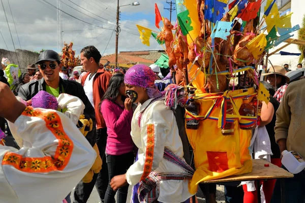 Varkens versierd met fruit, geesten, vlaggen en cavia's in La Fiesta de la Mama Negra traditionele festival — Stockfoto