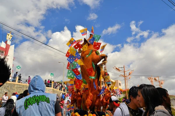 Pigs adorned with fruits, spirits, flags and guinea pigs at La Fiesta de la Mama Negra traditional festival — Stock Photo, Image