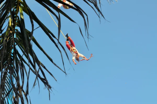Voladores akrobat performer bei fliegenden männern traditionelle tanzzeremonie in mexiko, mesoamerika — Stockfoto