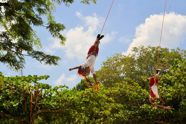 Voladores Acrobat sanatçılar töreninde uçan erkekler geleneksel dans Meksika, Mesoamerica — Stok fotoğraf