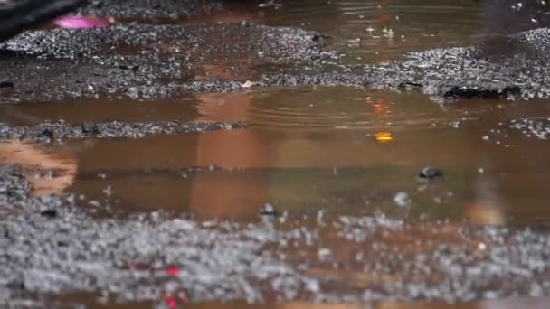 Legs Footage People Walking Road Puddles Rain — Stock Video