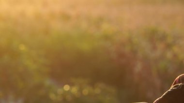 Yavaş çekim: Erkek bir çiftçinin elinde bir mısır tanesi var.