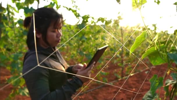 Кадри Азіатських Жінок Фермерів Досліджують Табличку Про Успіх Вирощування Сільськогосподарських — стокове відео