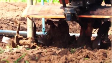 İnsanlar tarım mevsiminden önce toprağı sürüyorlar.