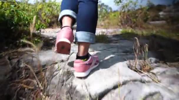 Visão Seção Baixa Mulher Tênis Andando Livre — Vídeo de Stock