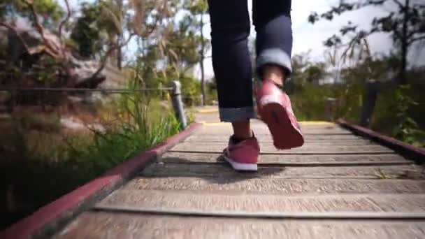 Low Section Άποψη Της Γυναίκας Sneakers Περπάτημα Εξωτερικούς Χώρους — Αρχείο Βίντεο