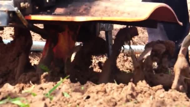 Man Plowing Ground Agricultural Season — Stock Video