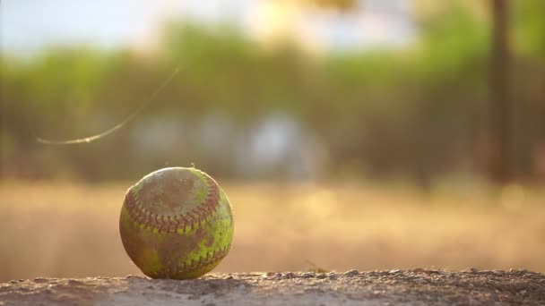 Крупним Планом Кадри Американської Бейсбольної Кажана Яча Землі Теплому Світлі — стокове відео