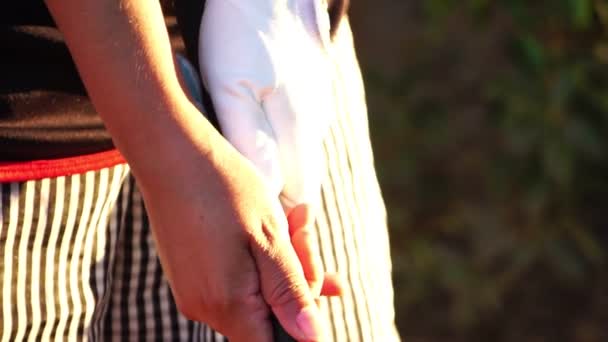 女子手握着带有暖光的高尔夫球杆 镜头慢动作 — 图库视频影像