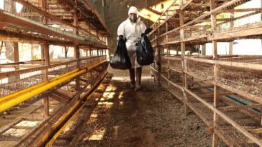 Video Yavaş Hareketi: Bilim adamı daha fazla test için çantalarda Covit-19 örnekleri topluyor