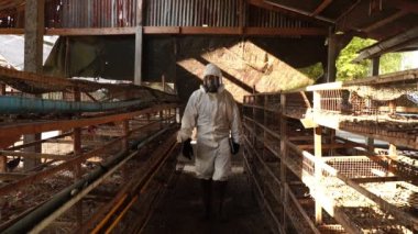 Footage Slow Motion: Scientist conducting research and collecting samples of Covid-19 in farm barn for further testing, the man with crossed arms in protective costume 