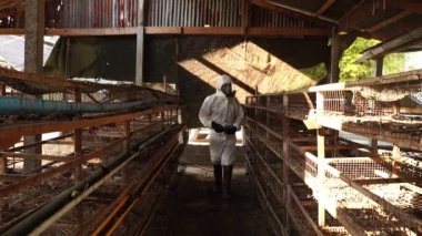 Video Yavaş Hareketi: Bilim adamı daha fazla test için çiftlik ahırında Covid-19 örnekleri toplayıp araştırıyor