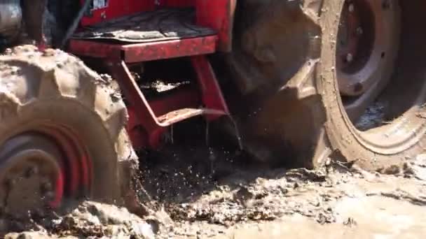 拖拉机正在努力搅拌泥土 并把它和水混在一起种植谷物 — 图库视频影像