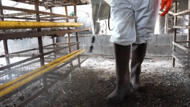 専門家は鶏の農場を汚染する細菌を殺すために化学物質を注入している — ストック動画