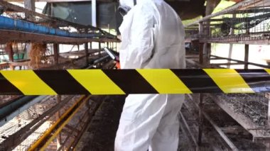 Koruyucu kıyafetli bilim adamının tarla ahırında test etmek için tablet kullanarak Covid-19 örnekleri topladığı görüntüler. 