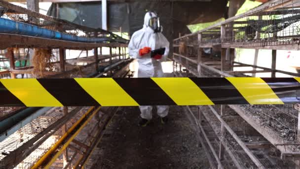 Filmagem Cientista Terno Proteção Realizando Pesquisa Coleta Amostras Covid Celeiro — Vídeo de Stock