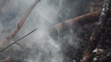 Orman yangınının yakın çekim görüntüleri sakinleşiyor.