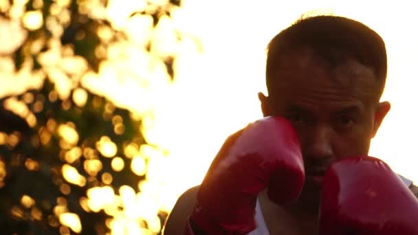 Homem Luvas Boxe Vermelho Engajado Treinamento Pôr Sol Fundo — Vídeo de Stock