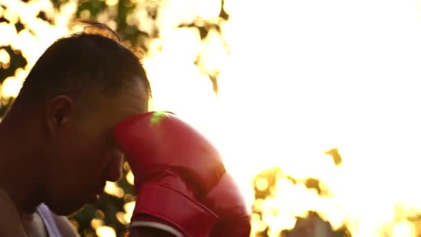 Muž Červených Boxerských Rukavicích Zapojený Výcviku Při Západu Slunce Pozadí — Stock video