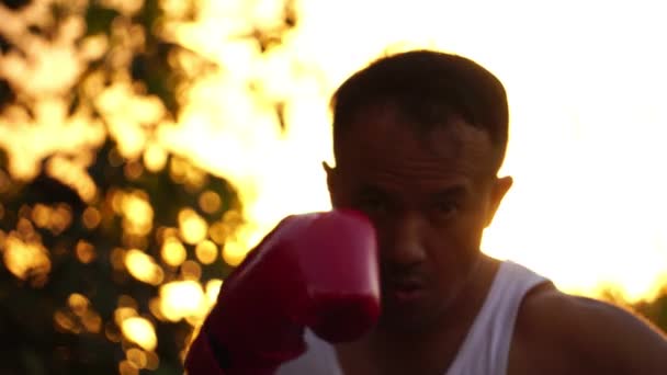 Hombre Con Guantes Boxeo Rojo Entrenado Atardecer Fondo — Vídeos de Stock