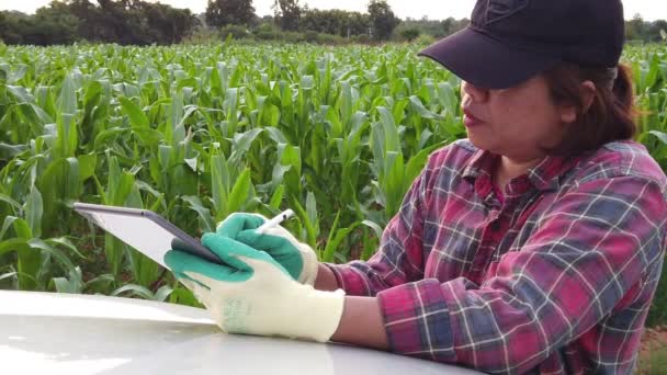 トウモロコシ畑で研究を行う女性農業研究者 — ストック動画