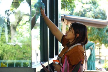 Asyalı kadın temizlik spreyi sıkıyor ve pencereyi siliyor. İfadesine ve temizlik faaliyetlerine odaklanıyor.