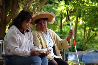 Yeşil alanda yürüyen son sınıf öğrencisi iki kadın..