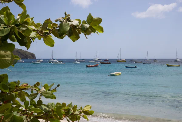 Muitos barcos ao largo da costa da Martinica — Fotografia de Stock