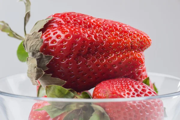 Fresh strawberries in a glass bowl — Stock Photo, Image