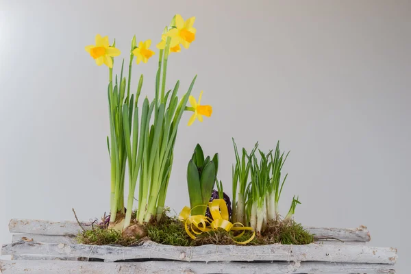 Nergis ahşap sepeti