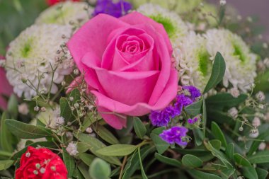 güzel pembe gül gülümsemek