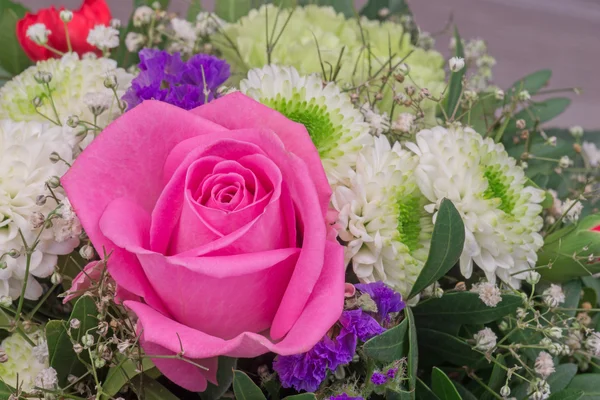 Beautiful pink rose closeup — Stock Photo, Image