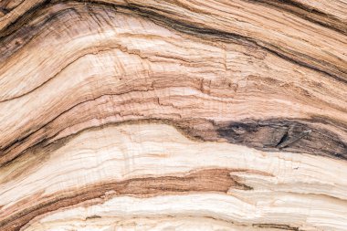 Arka plan olarak tedavi edilmemiş ağaç yapısı