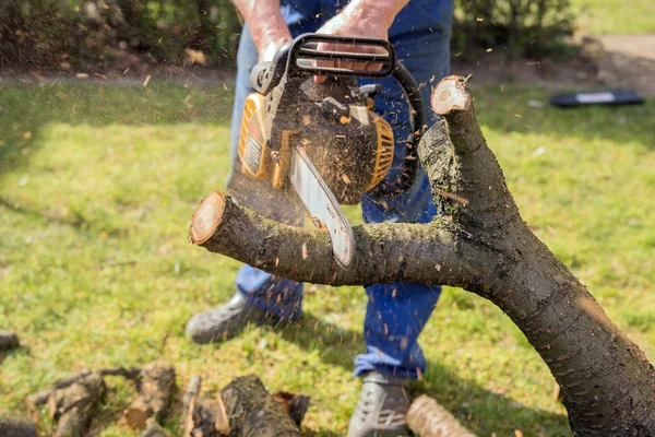 Hombre con motosierra cortando el árbol — Foto de Stock