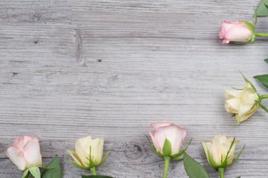 Tablo üzerinde pembe ve sarı güller