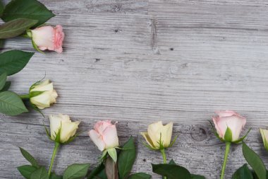 Tablo üzerinde pembe ve sarı güller