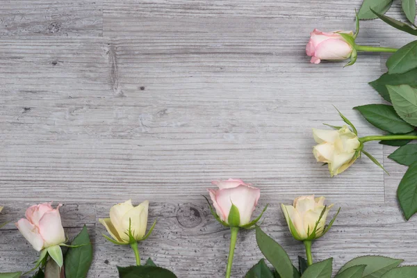 Rosa och gula rosor över bordet — Stockfoto