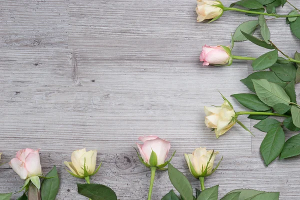 Rosa e rosas amarelas sobre a mesa — Fotografia de Stock